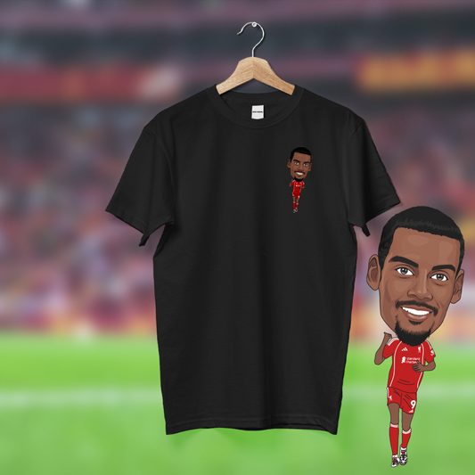 Alexander Isak Henrik Tee