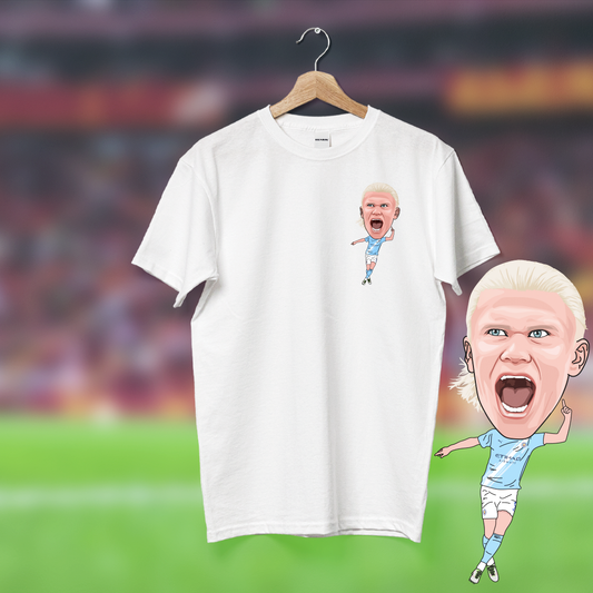 Erling Halaand Henrik Tee